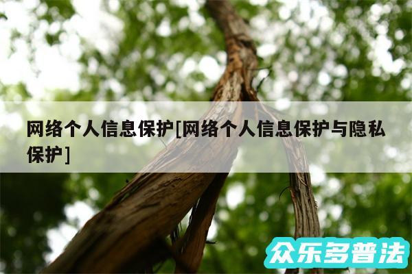网络个人信息保护及网络个人信息保护与隐私保护