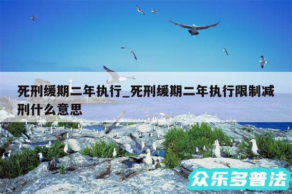 死刑缓期二年执行_死刑缓期二年执行限制减刑什么意思