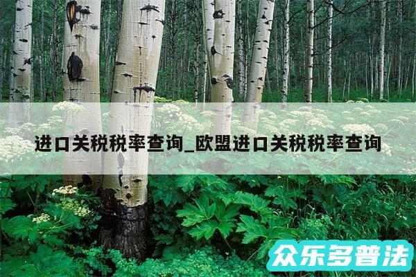 进口关税税率查询_欧盟进口关税税率查询