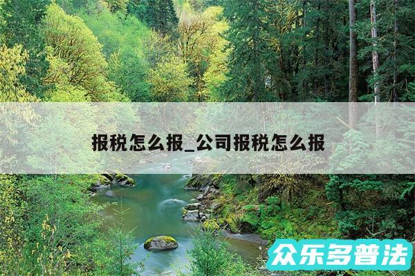 报税怎么报_公司报税怎么报