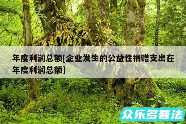 年度利润总额及企业发生的公益性捐赠支出在年度利润总额