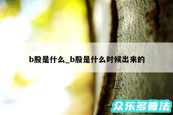 b股是什么_b股是什么时候出来的