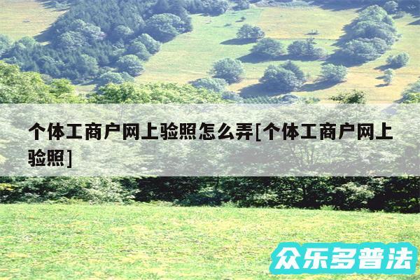 个体工商户网上验照怎么弄及个体工商户网上验照