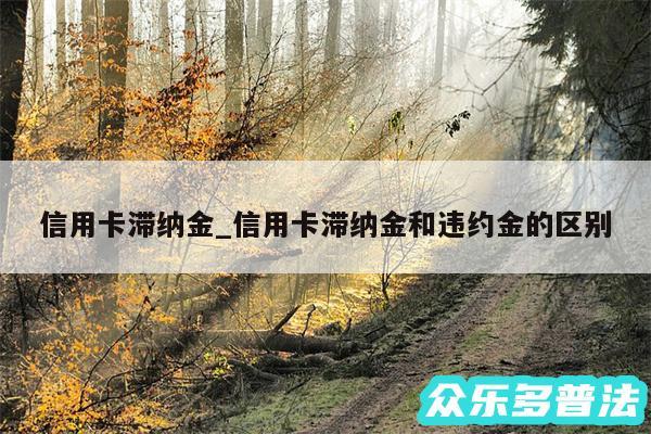 信用卡滞纳金_信用卡滞纳金和违约金的区别