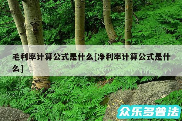 毛利率计算公式是什么及净利率计算公式是什么