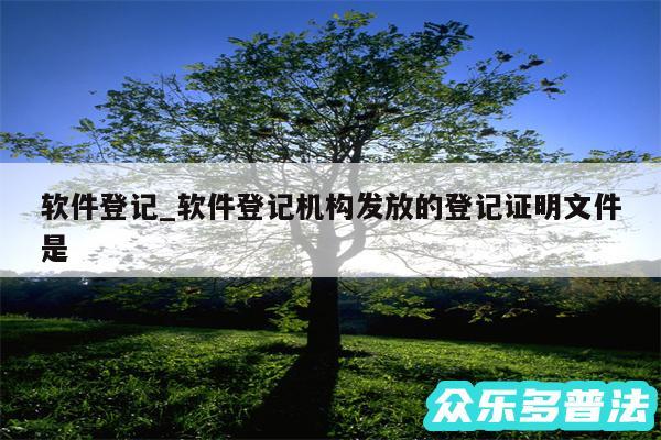 软件登记_软件登记机构发放的登记证明文件是