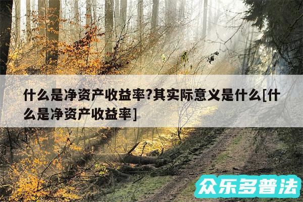 什么是净资产收益率?其实际意义是什么及什么是净资产收益率