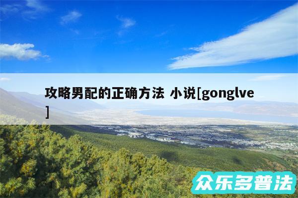 攻略男配的正确方法 小说及gonglve