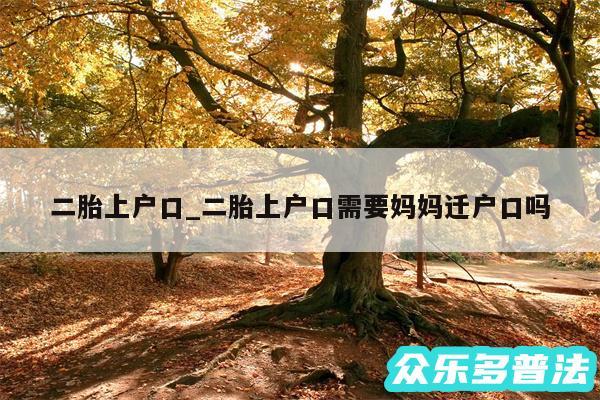 二胎上户口_二胎上户口需要妈妈迁户口吗