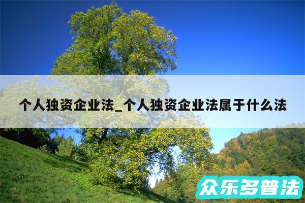 个人独资企业法_个人独资企业法属于什么法