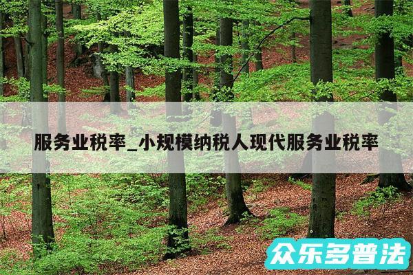 服务业税率_小规模纳税人现代服务业税率