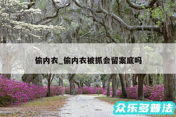 偷内衣_偷内衣被抓会留案底吗