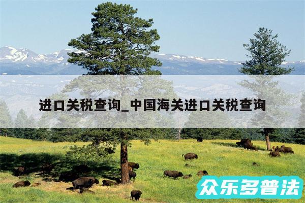 进口关税查询_中国海关进口关税查询