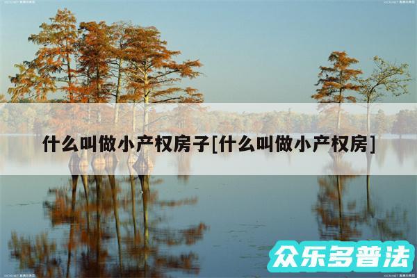 什么叫做小产权房子及什么叫做小产权房