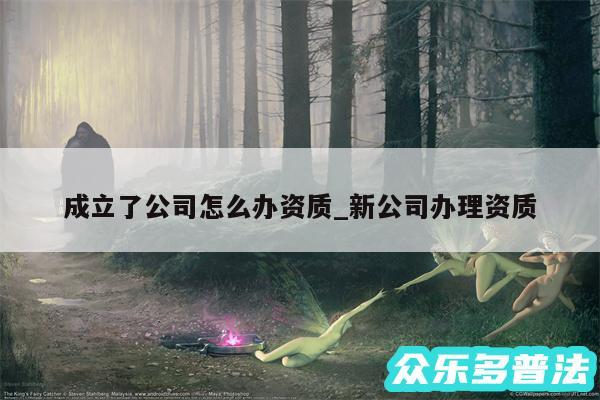 成立了公司怎么办资质_新公司办理资质