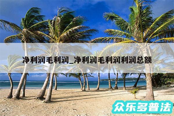 净利润毛利润_净利润毛利润利润总额