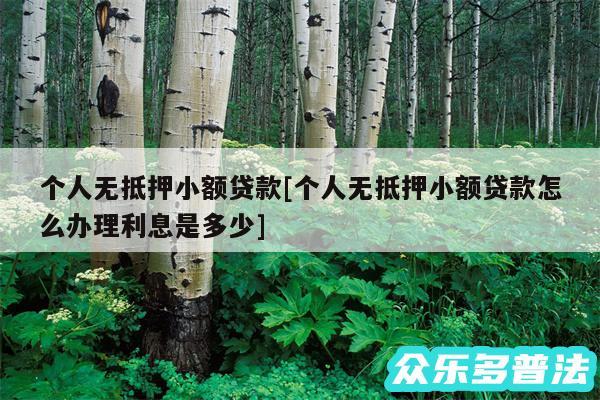 个人无抵押小额贷款及个人无抵押小额贷款怎么办理利息是多少