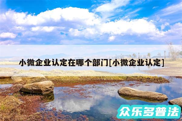 小微企业认定在哪个部门及小微企业认定