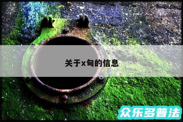 关于x甸的信息