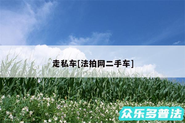 走私车及法拍网二手车
