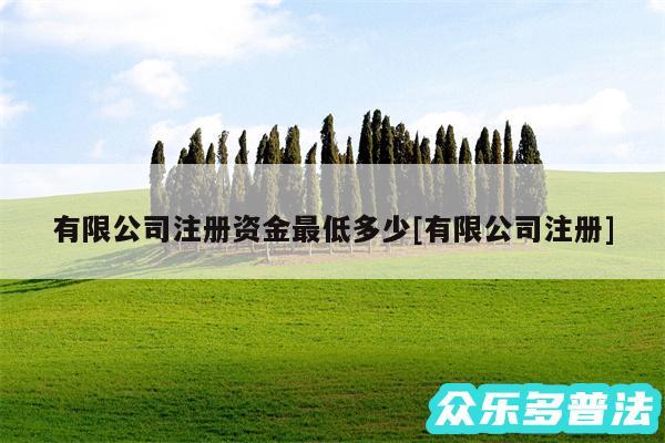 有限公司注册资金最低多少及有限公司注册