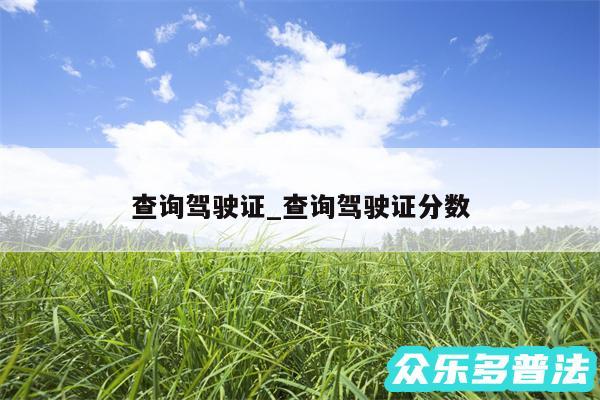 查询驾驶证_查询驾驶证分数