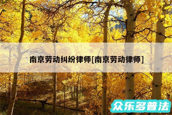 南京劳动纠纷律师及南京劳动律师