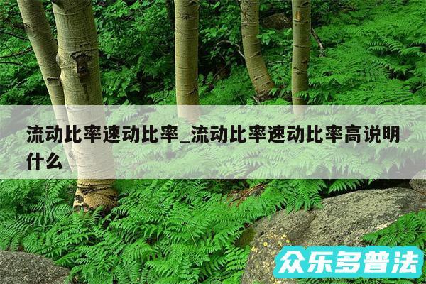 流动比率速动比率_流动比率速动比率高说明什么