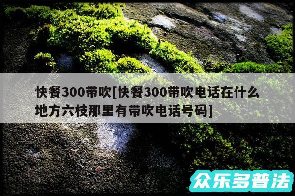 快餐300带吹及快餐300带吹电话在什么地方六枝那里有带吹电话号码