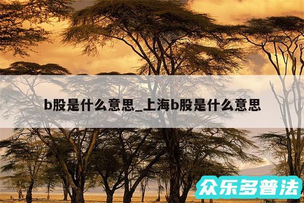 b股是什么意思_上海b股是什么意思
