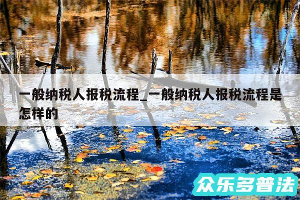 一般纳税人报税流程_一般纳税人报税流程是怎样的