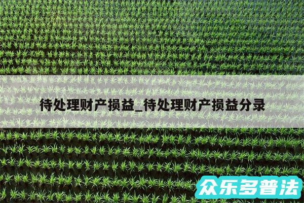 待处理财产损益_待处理财产损益分录