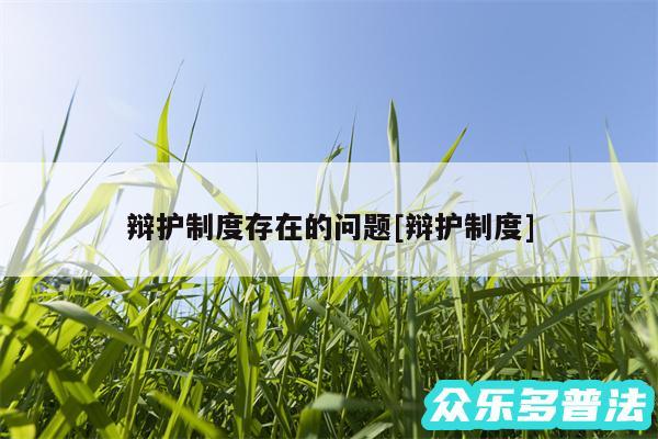 辩护制度存在的问题及辩护制度
