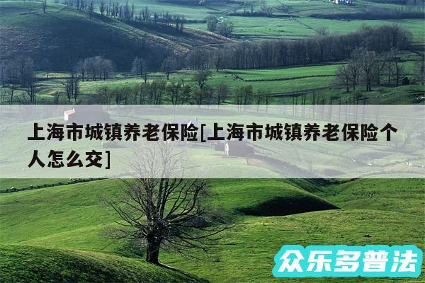 上海市城镇养老保险及上海市城镇养老保险个人怎么交