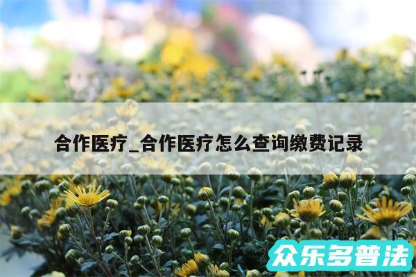 合作医疗_合作医疗怎么查询缴费记录