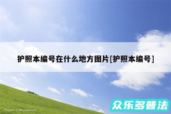 护照本编号在什么地方图片及护照本编号