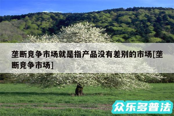 垄断竞争市场就是指产品没有差别的市场及垄断竞争市场