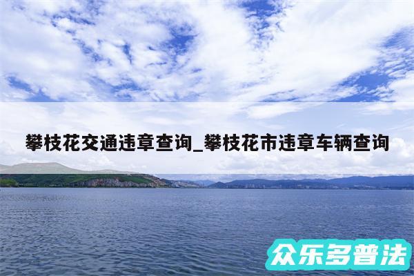 攀枝花交通违章查询_攀枝花市违章车辆查询