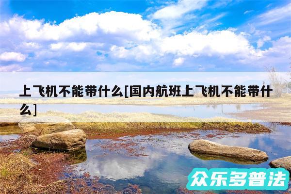 上飞机不能带什么及国内航班上飞机不能带什么