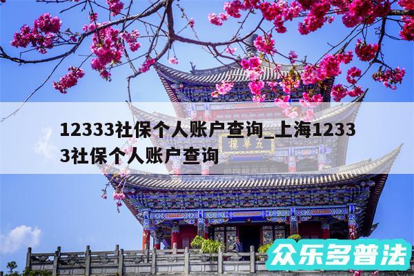 12333社保个人账户查询_上海12333社保个人账户查询