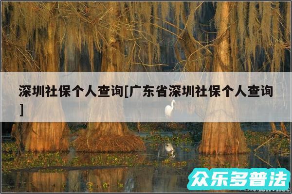 深圳社保个人查询及广东省深圳社保个人查询