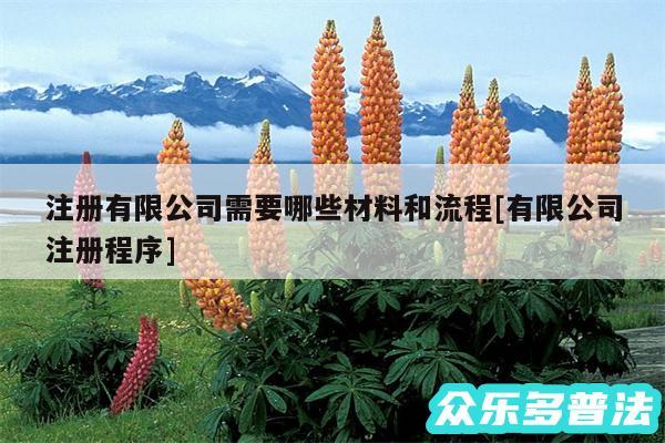 注册有限公司需要哪些材料和流程及有限公司注册程序