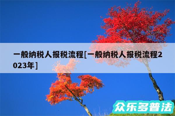 一般纳税人报税流程及一般纳税人报税流程2024年