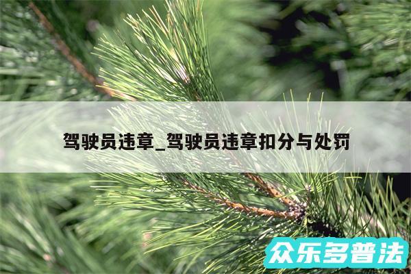 驾驶员违章_驾驶员违章扣分与处罚