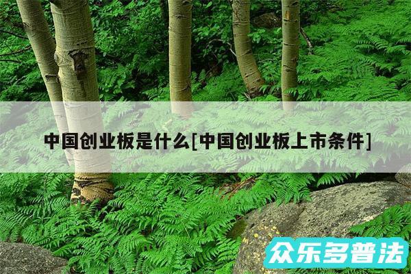中国创业板是什么及中国创业板上市条件