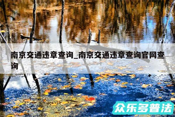 南京交通违章查询_南京交通违章查询官网查询