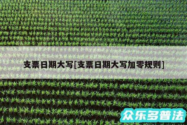 支票日期大写及支票日期大写加零规则