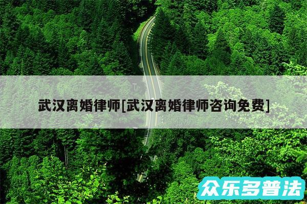 武汉离婚律师及武汉离婚律师咨询免费