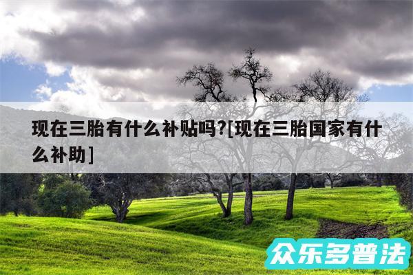 现在三胎有什么补贴吗?及现在三胎国家有什么补助