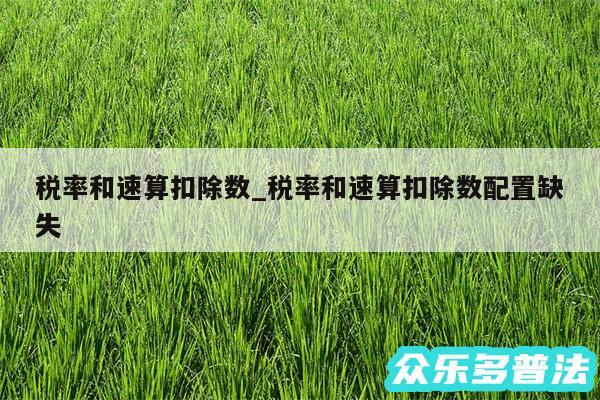 税率和速算扣除数_税率和速算扣除数配置缺失